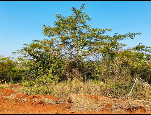 630M² VACANT LAND FOR SALE IN MULEDANE